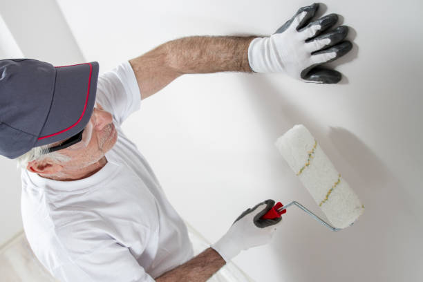 Best Mold Odor Removal Services  in Duluth, GA