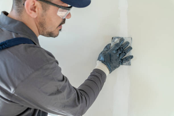 Best Mold Removal for HVAC Installations  in Duluth, GA