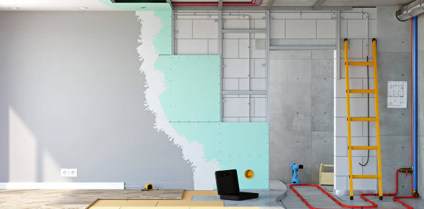 Best Real Estate Mold Inspection  in Duluth, GA