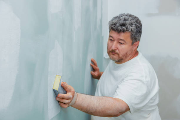 Best Mold Damage Restoration  in Duluth, GA