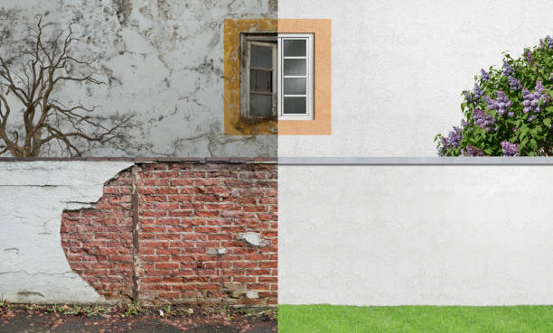 Best Commercial Mold Inspection  in Duluth, GA