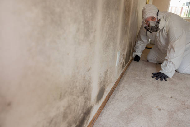 Best Airborne Mold Testing  in Duluth, GA