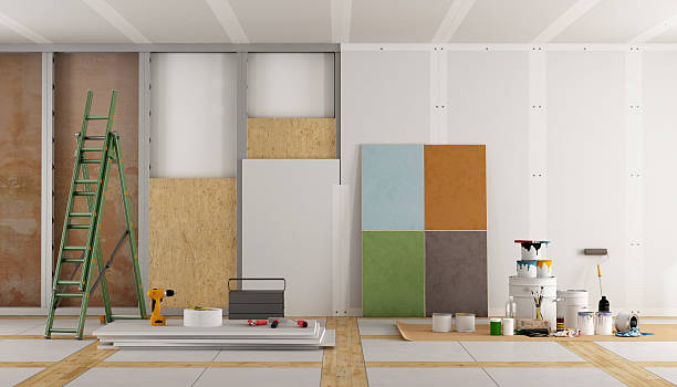 Best Black Mold Removal  in Duluth, GA
