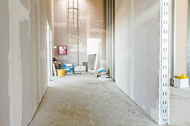 Best Post-Construction Mold Inspection  in Duluth, GA