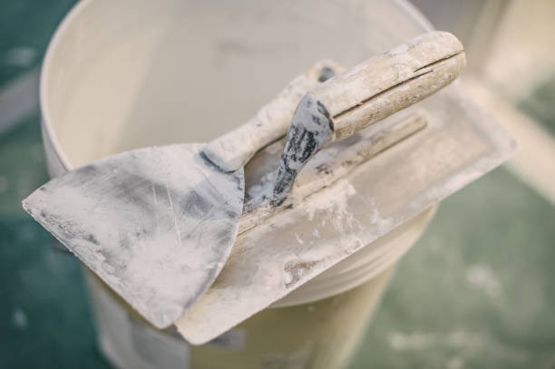Reliable Duluth, GA Mold Removal Solutions